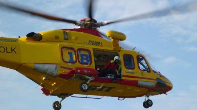 Crespadoro. Scivola e ruzzola per 50 metri nel bosco - AltoVicentinOnline