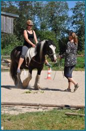 pet terapy cavallo luglio 2015