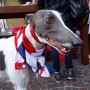 British day 2015 26