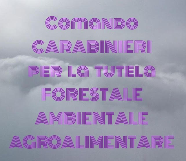 Carabinieri. Nasce il comando tutela forestale, ambientale e