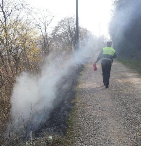 incendio piovene marzo 2017 2