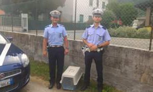 Polizia Locale