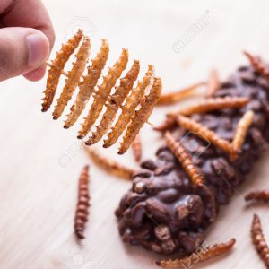 Fried insects - Wood worm, bamboo worm insect crispy and candy coated chocolate wafer bars on wooden background. Great source of protein for children, Select focus