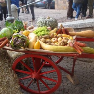 festa agricoltura