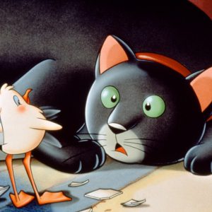 gatto_gabbianella