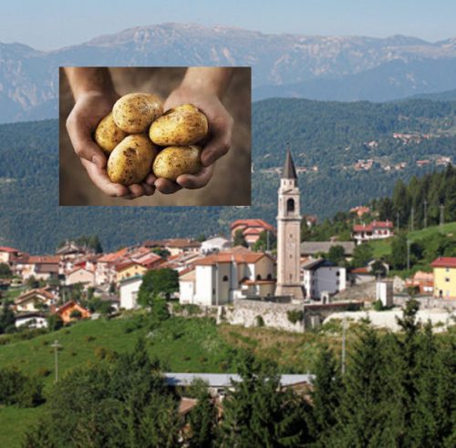 La patata di Rotzo sbarca su Rai 3. A ‘Geo&Geo’ anche il ‘Tiramisù’ di