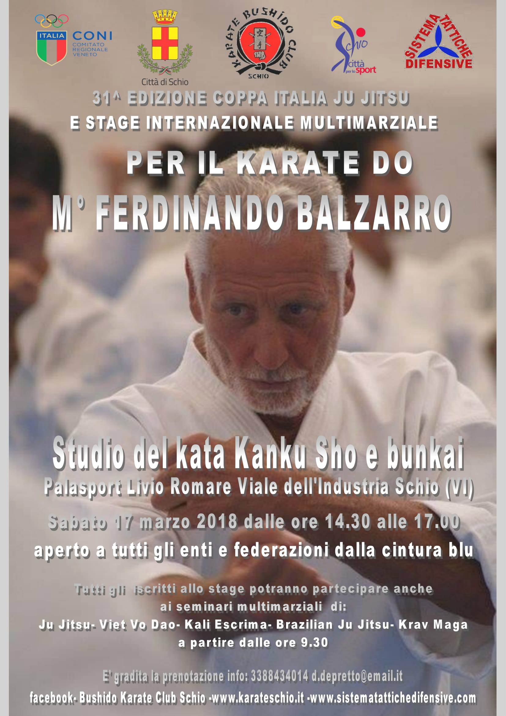 Locandina Stage Karate