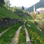 20180429 LAGHI cigno arturo attacca i ciclisti 7