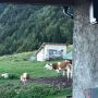posian_malga campiglia_2