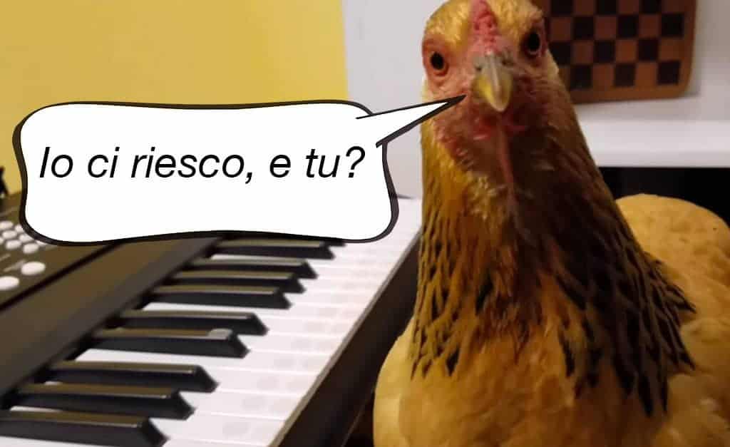Risponde Sì A Chi Dice Così
