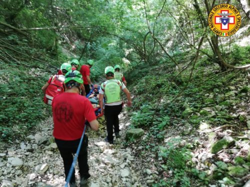 Caltrano. Scivola nel bosco e non riesce a camminare: soccorsa una ...