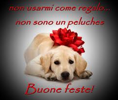 Regali Di Natale Per Cani.Cuccioli Come Regalo Di Natale Adozioni Responsabili Per Evitare Abbandoni Altovicentinonline