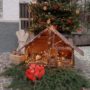 presepe pedempnte7