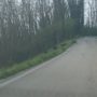 image_6483441(14)