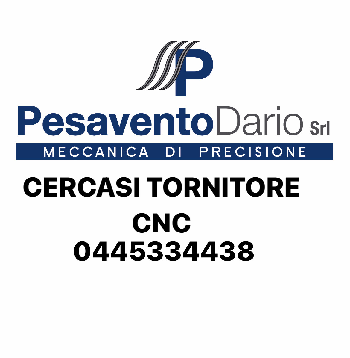 Pesavento Dario