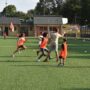 gioco_