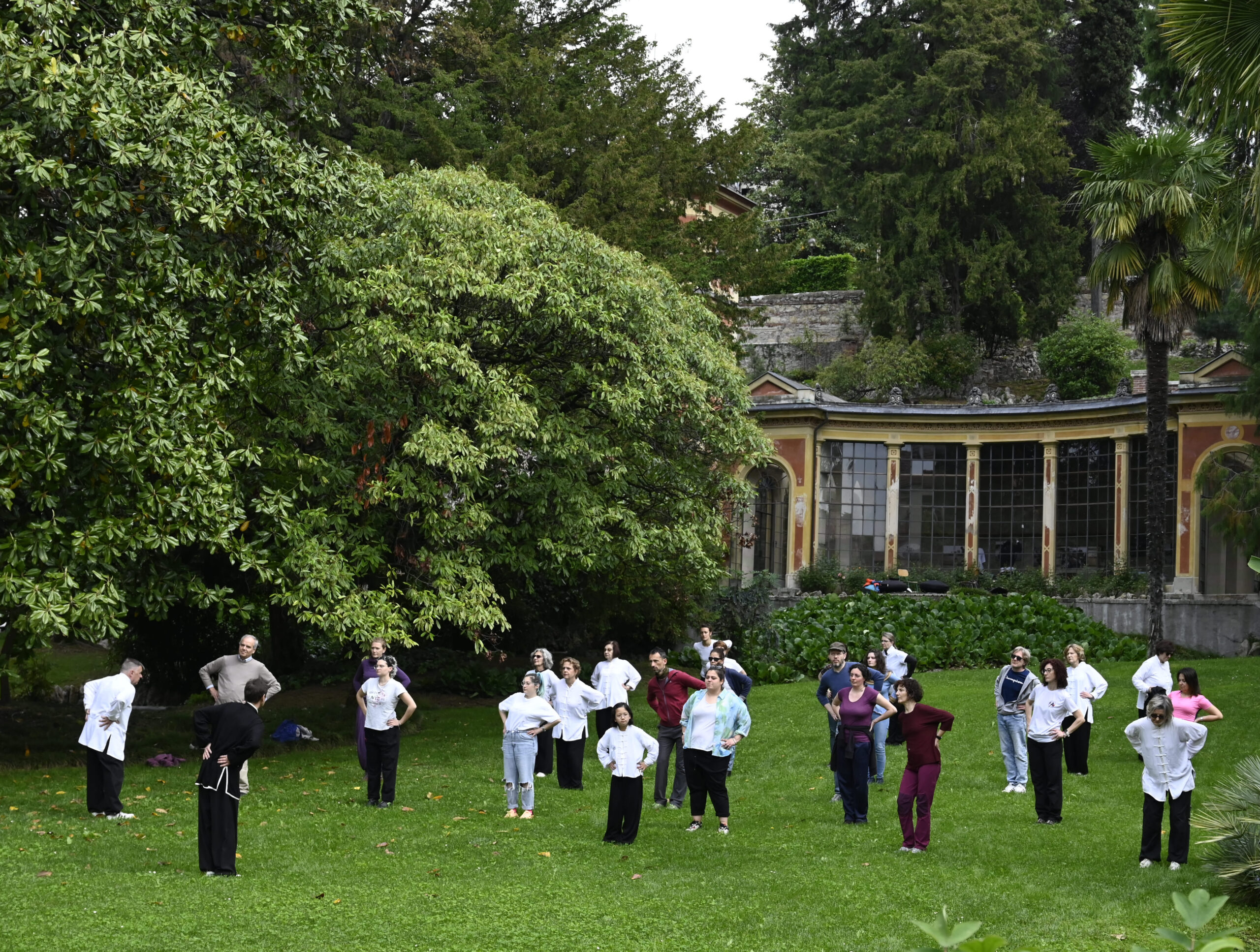 Schio. Al via il bando cultura 2024. Teatro, danza, musica e