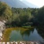 torrente Posina