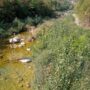 Torrente POSINA1