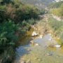 Torrente Posina22