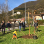 festa alberi_2