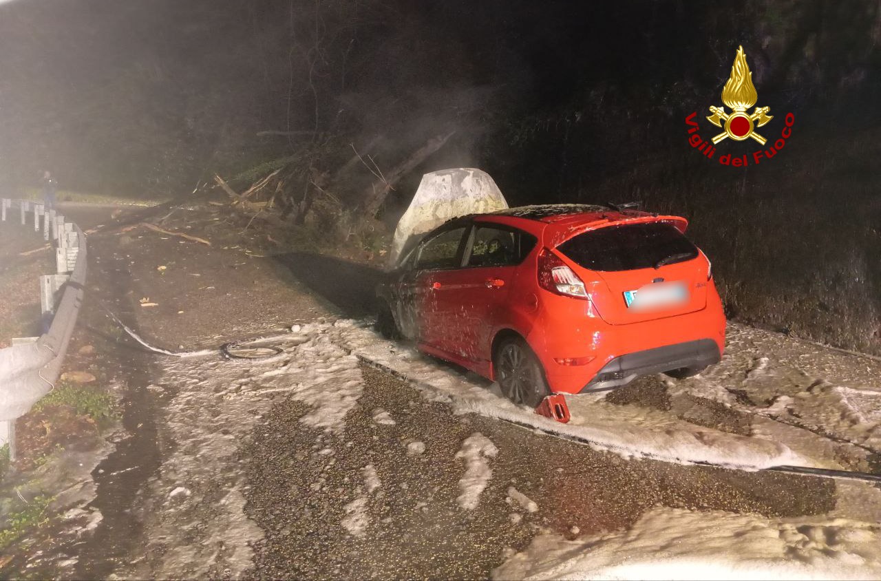 Schio. Auto si schianta contro gli alberi e prende fuoco ...