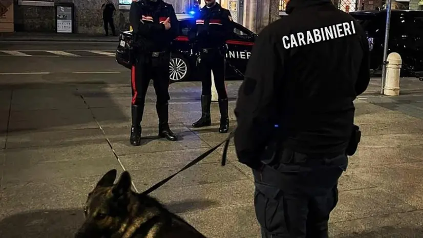 Attenzione prima il po 'Cane pittogramma Ragione Besitz kennz., Alu