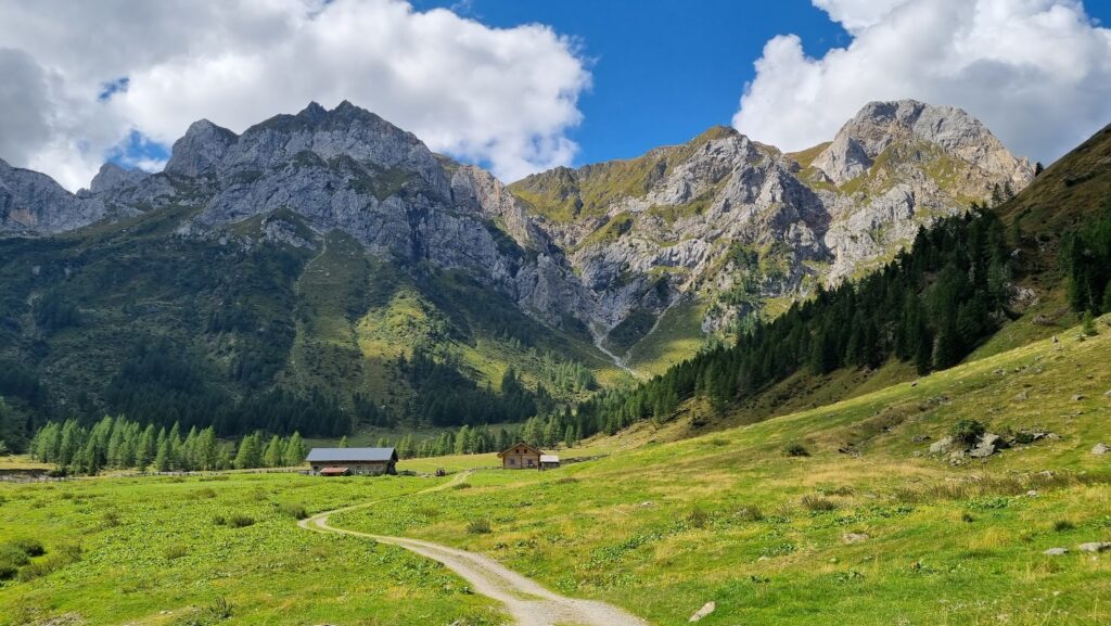 Montagna. Jeep dei cacciatori sui sentieri veneti, l'appello del Cai ...
