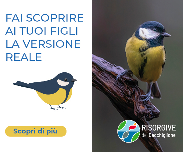 viacqua