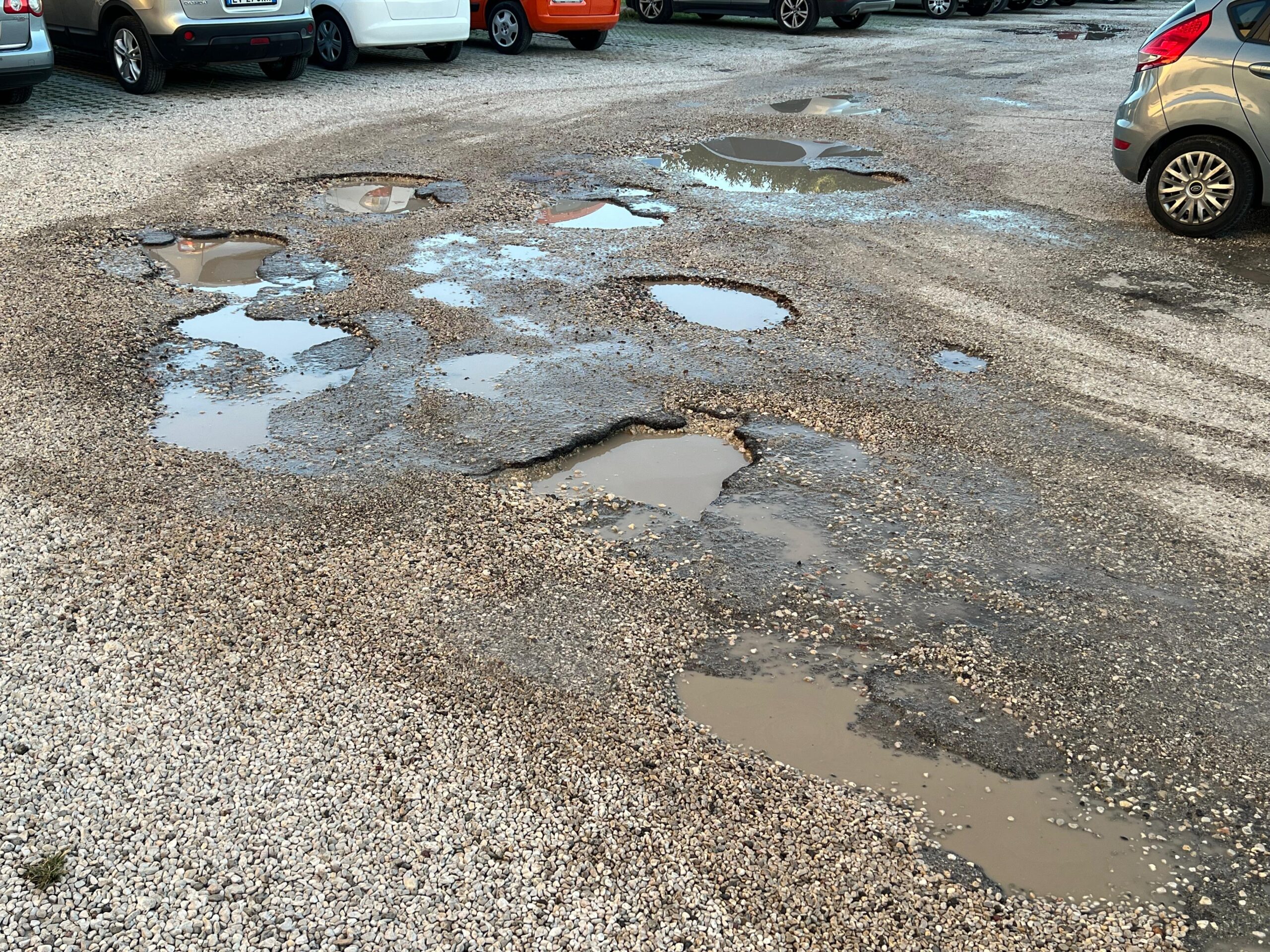 WhatsApp Image 2025-11-04 at 10.25.25 (1)