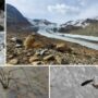 ghiacciai_biodiversita-1024×576