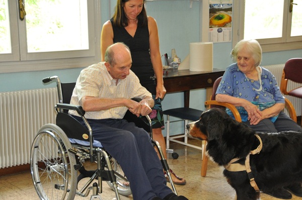 Geriatras: “Quem convive com animal vive melhor e mais tempo”, eis a conta dos idosos